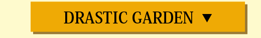 DRASTIC ボタン