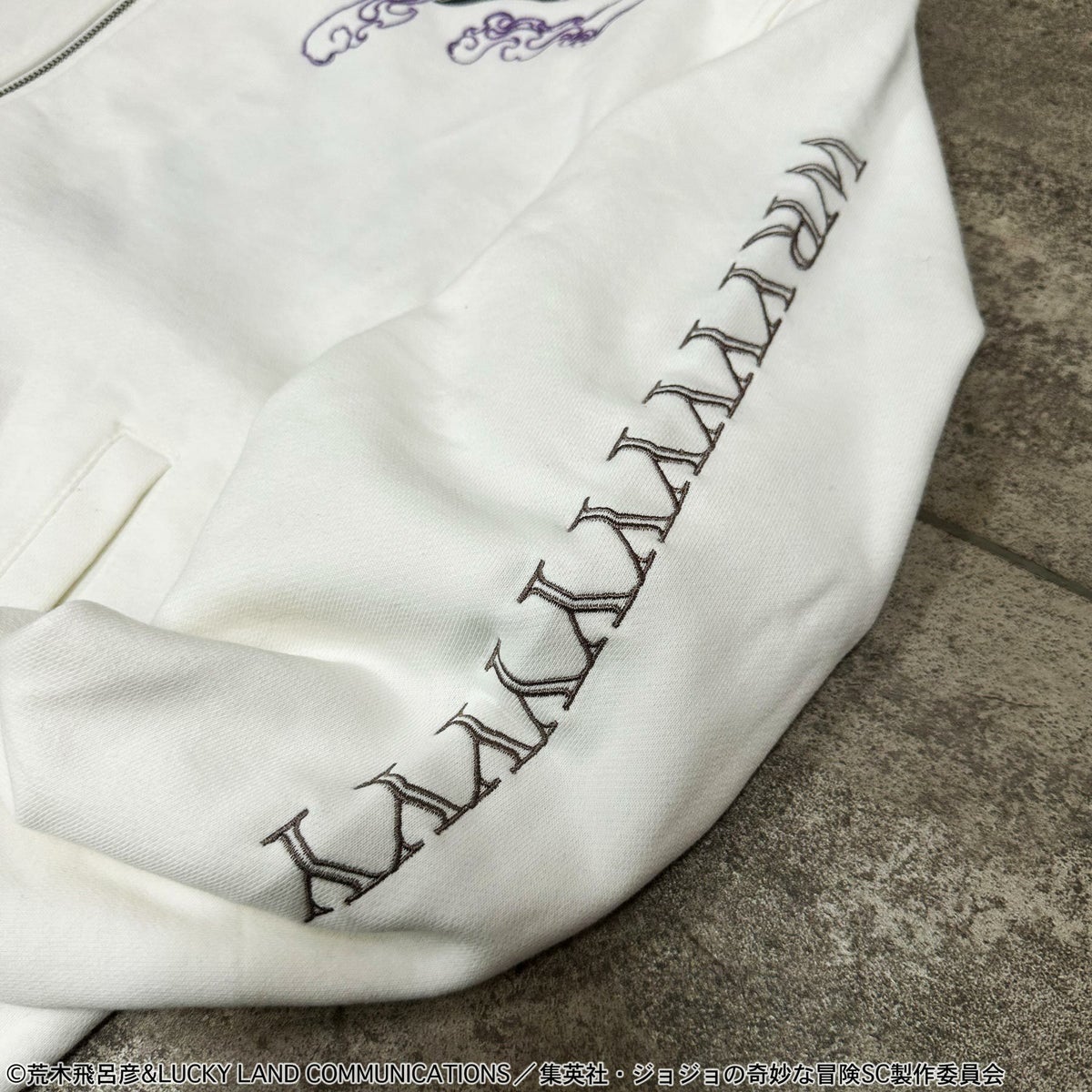 ＜予約＞【絡繰魂・粋×ジョジョの奇妙な冒険】DIO ZIPパーカー