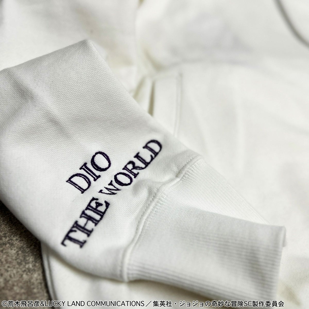 ＜予約＞【絡繰魂・粋×ジョジョの奇妙な冒険】DIO ZIPパーカー