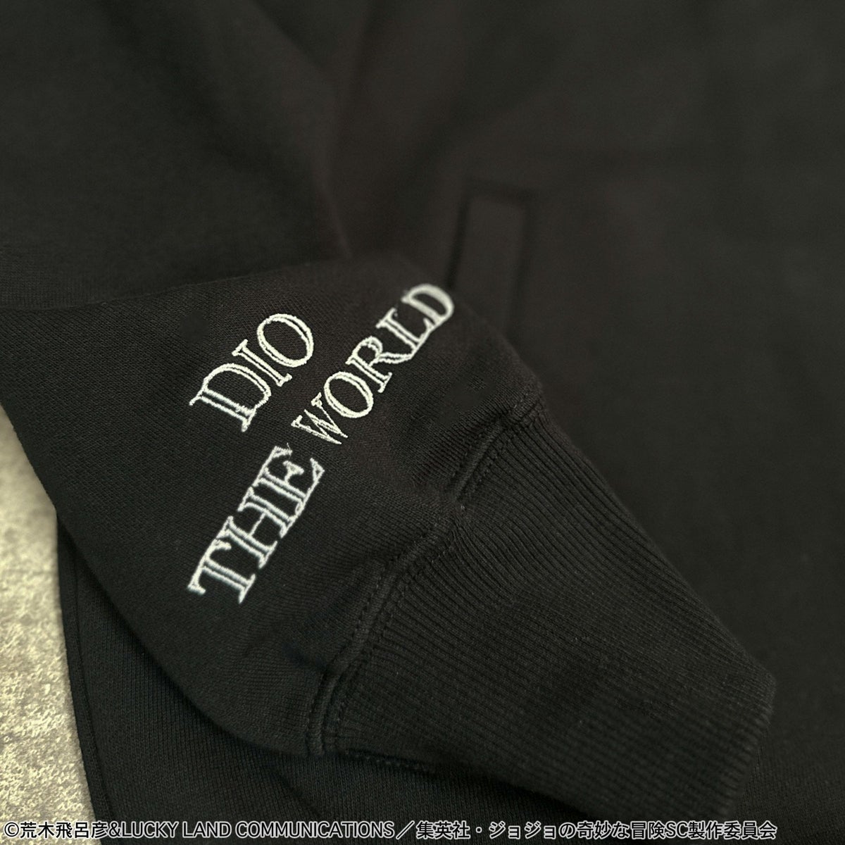 ＜予約＞【絡繰魂・粋×ジョジョの奇妙な冒険】DIO ZIPパーカー