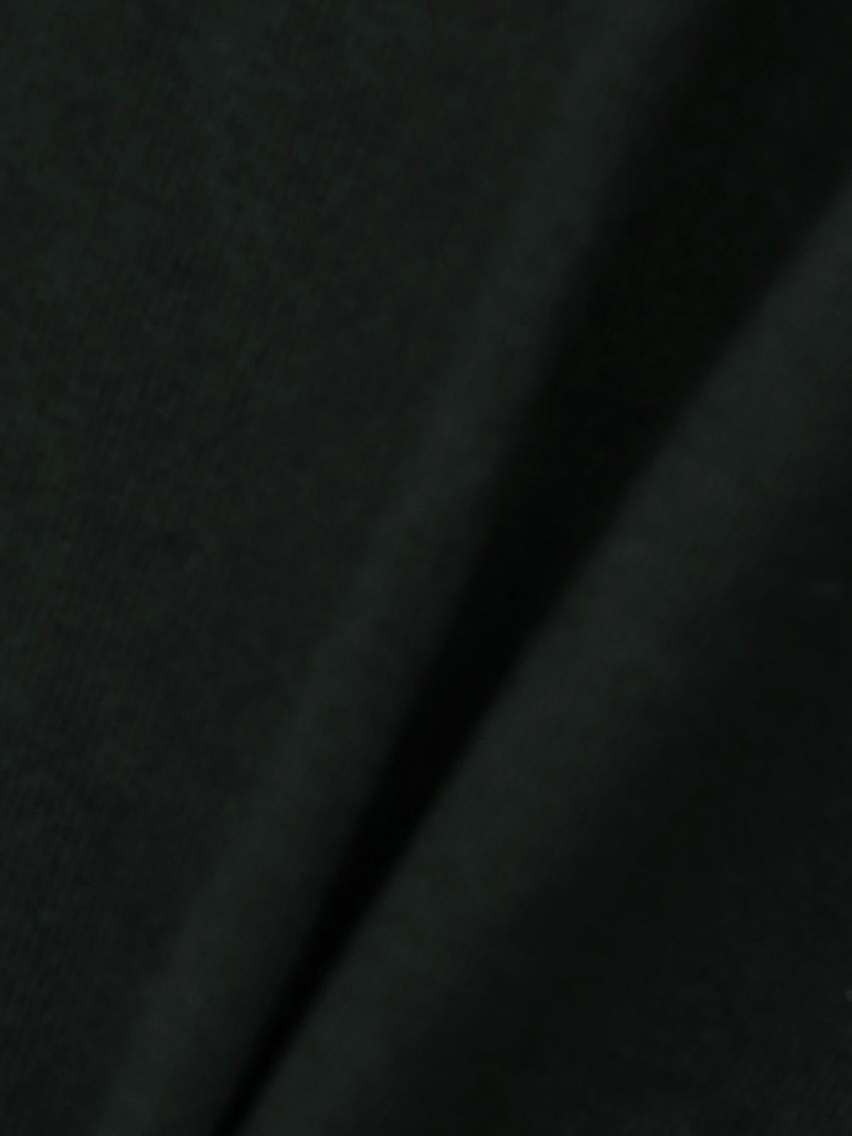 【絡繰魂・粋】“月光狼”刺繍入りロンT