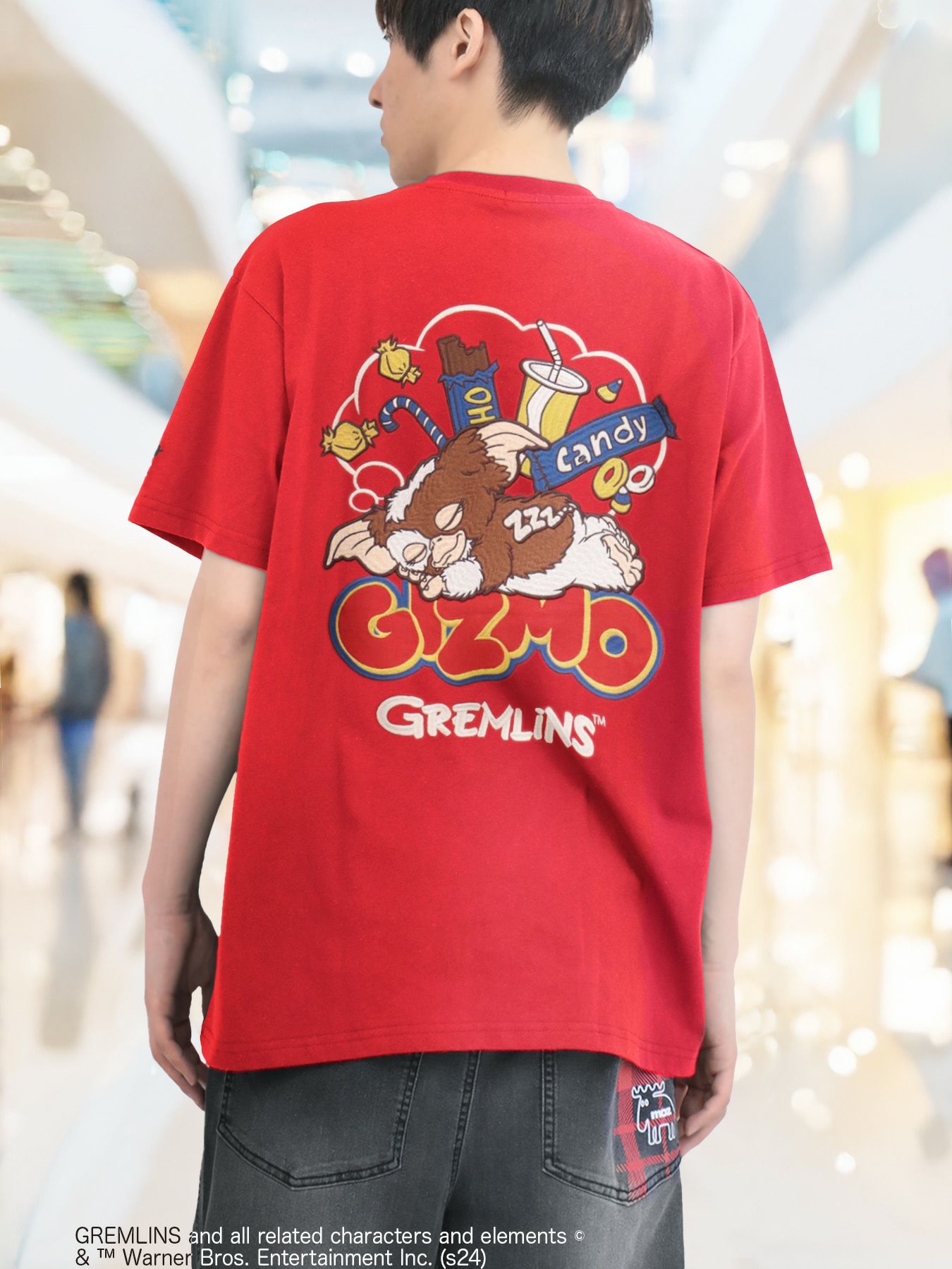 GREMLINS】“GIZMO SWEET”総刺繍Tシャツ〔別注〕 | 流儀圧搾 ONLINE