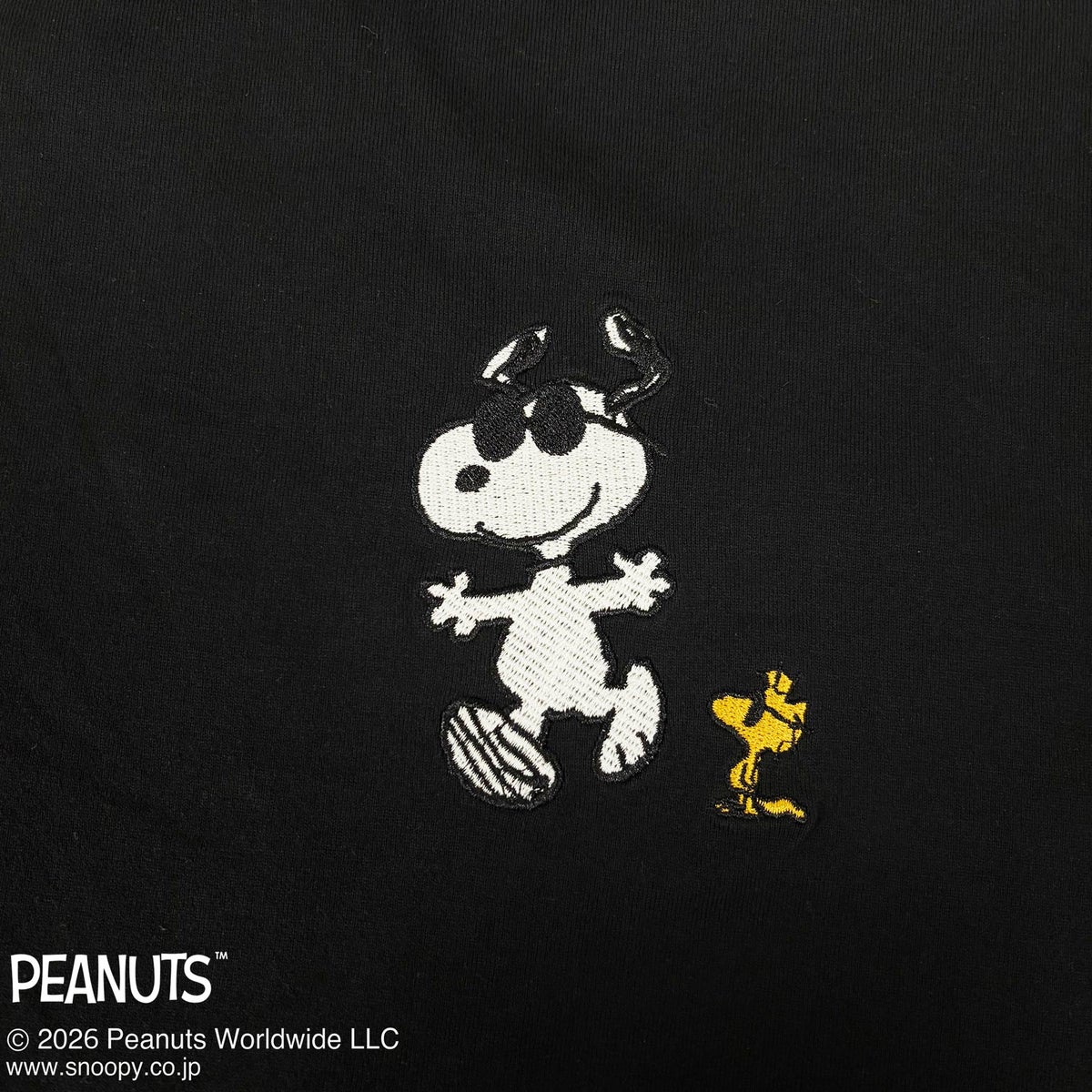【FLAGSTAFF×PEANUTS】SNOOPY PM TEE