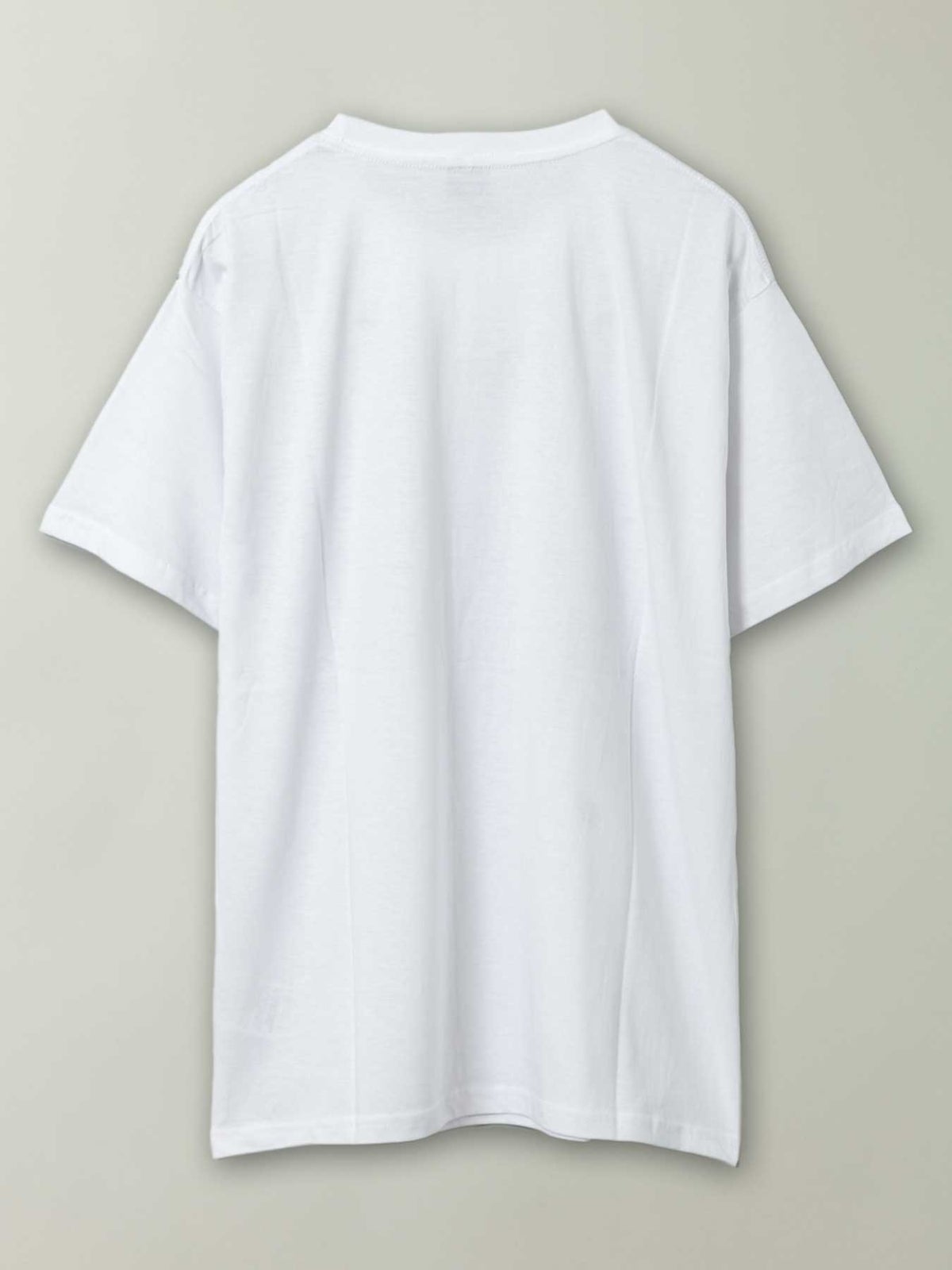 【和風景】“登竜門”プリントTシャツ