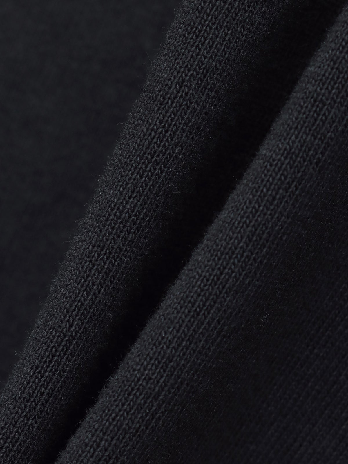 【DRASTIC GARDEN】“漆黒の華々”総刺繍BGIシルエットロンT
